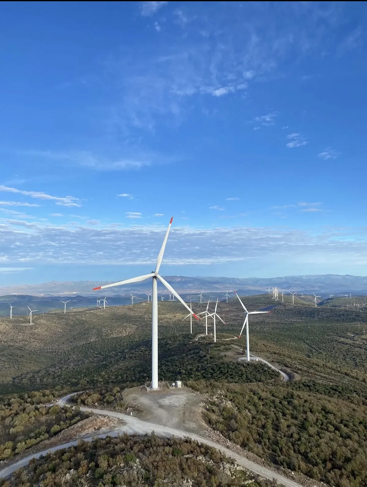 Drone ile yukarıdan çekilmiş Ege makiliği; ön planda tek bir rüzgâr türbini, arkadaki sırtlarda onlarca türbin daha